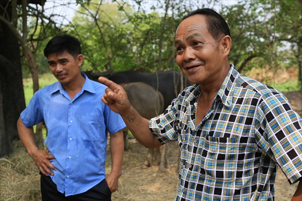 Ферма по разведению буйволов, Утхайтхани, Таиланд (4)